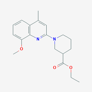 ethyl 1-(8-methoxy-4-methyl-2-quinolinyl)-3-piperidinecarboxylate