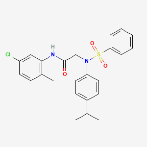 molecular formula C24H25ClN2O3S B4883746 N~1~-(5-chloro-2-methylphenyl)-N~2~-(4-isopropylphenyl)-N~2~-(phenylsulfonyl)glycinamide 