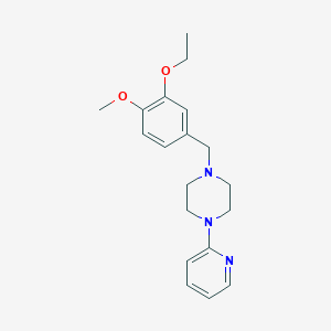 molecular formula C19H25N3O2 B4883768 1-(3-ethoxy-4-methoxybenzyl)-4-(2-pyridinyl)piperazine 