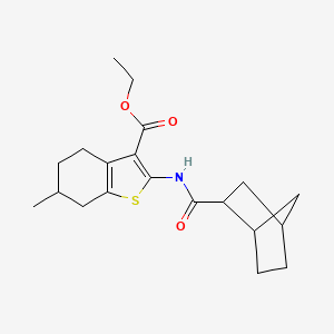 ethyl 2-[(bicyclo[2.2.1]hept-2-ylcarbonyl)amino]-6-methyl-4,5,6,7-tetrahydro-1-benzothiophene-3-carboxylate