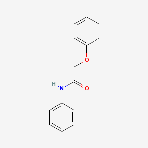 molecular formula C14H13NO2 B4885321 2-phenoxy-N-phenylacetamide CAS No. 18705-01-6