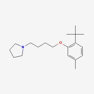 molecular formula C19H31NO B4888249 1-[4-(2-tert-butyl-5-methylphenoxy)butyl]pyrrolidine 