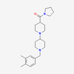 molecular formula C24H37N3O B4890780 1'-(3,4-dimethylbenzyl)-4-(1-pyrrolidinylcarbonyl)-1,4'-bipiperidine 
