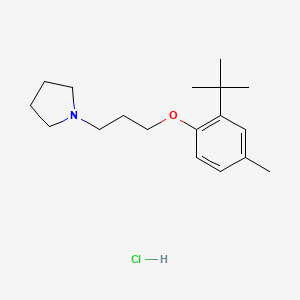 molecular formula C18H30ClNO B4892138 1-[3-(2-tert-butyl-4-methylphenoxy)propyl]pyrrolidine hydrochloride 
