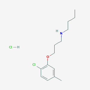 molecular formula C14H23Cl2NO B4892397 N-[3-(2-chloro-5-methylphenoxy)propyl]-1-butanamine hydrochloride 