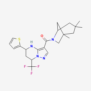 molecular formula C22H27F3N4OS B4897609 5-(2-thienyl)-7-(trifluoromethyl)-3-[(1,3,3-trimethyl-6-azabicyclo[3.2.1]oct-6-yl)carbonyl]-4,5,6,7-tetrahydropyrazolo[1,5-a]pyrimidine 