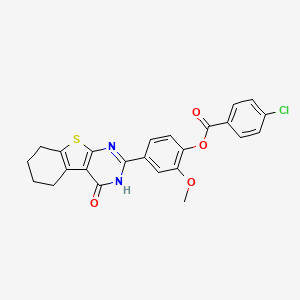 molecular formula C24H19ClN2O4S B4898167 2-methoxy-4-(4-oxo-3,4,5,6,7,8-hexahydro[1]benzothieno[2,3-d]pyrimidin-2-yl)phenyl 4-chlorobenzoate 