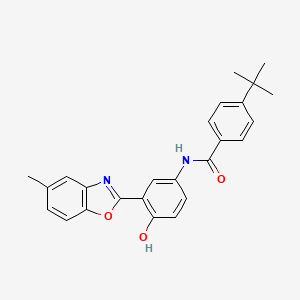 molecular formula C25H24N2O3 B4900244 4-tert-butyl-N-[4-hydroxy-3-(5-methyl-1,3-benzoxazol-2-yl)phenyl]benzamide 