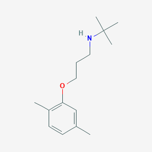 molecular formula C15H25NO B4900447 N-[3-(2,5-dimethylphenoxy)propyl]-2-methylpropan-2-amine 