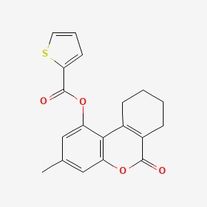 molecular formula C19H16O4S B4904084 3-METHYL-6-OXO-6H,7H,8H,9H,10H-CYCLOHEXA[C]CHROMEN-1-YL THIOPHENE-2-CARBOXYLATE 