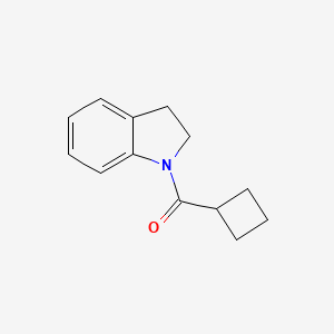 cyclobutyl(2,3-dihydro-1H-indol-1-yl)methanone