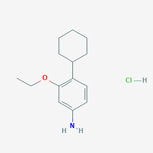 molecular formula C14H22ClNO B4910837 4-Cyclohexyl-3-ethoxyaniline;hydrochloride 