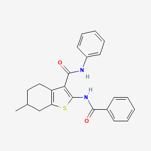 2-benzamido-6-methyl-N-phenyl-4,5,6,7-tetrahydro-1-benzothiophene-3-carboxamide