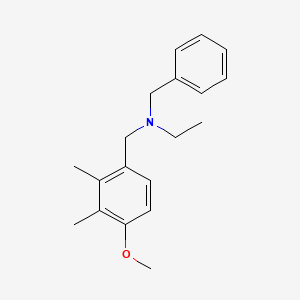 molecular formula C19H25NO B4912013 N-benzyl-N-(4-methoxy-2,3-dimethylbenzyl)ethanamine 