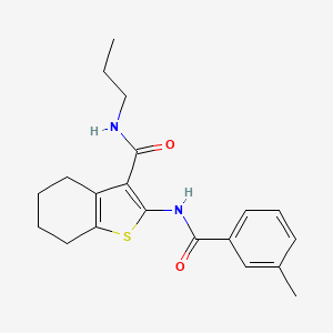 2-[(3-methylbenzoyl)amino]-N-propyl-4,5,6,7-tetrahydro-1-benzothiophene-3-carboxamide