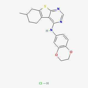 N-(2,3-dihydro-1,4-benzodioxin-6-yl)-7-methyl-5,6,7,8-tetrahydro-[1]benzothiolo[2,3-d]pyrimidin-4-amine;hydrochloride