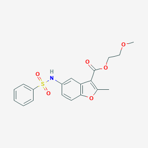 molecular formula C19H19NO6S B491485 2-Methoxyethyl 2-methyl-5-[(phenylsulfonyl)amino]-1-benzofuran-3-carboxylate CAS No. 361179-72-8