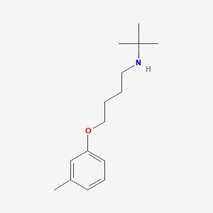 N-tert-butyl-4-(3-methylphenoxy)butan-1-amine