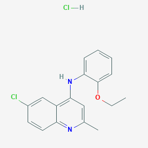 6-chloro-N-(2-ethoxyphenyl)-2-methylquinolin-4-amine;hydrochloride