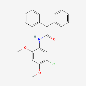 molecular formula C22H20ClNO3 B4919204 N-(5-chloro-2,4-dimethoxyphenyl)-2,2-diphenylacetamide 