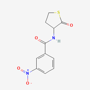molecular formula C11H10N2O4S B4923476 3-nitro-N-(2-oxotetrahydro-3-thienyl)benzamide 