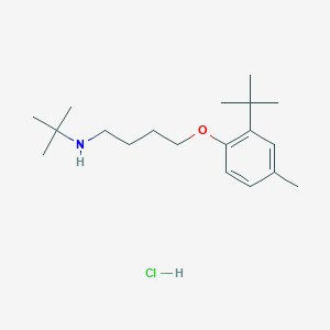 molecular formula C19H34ClNO B4925770 N-(tert-butyl)-4-(2-tert-butyl-4-methylphenoxy)-1-butanamine hydrochloride 