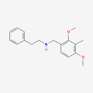 molecular formula C18H23NO2 B4927750 (2,4-dimethoxy-3-methylbenzyl)(2-phenylethyl)amine CAS No. 355382-28-4