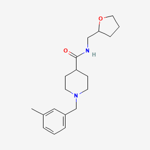 molecular formula C19H28N2O2 B4928327 1-(3-methylbenzyl)-N-(tetrahydro-2-furanylmethyl)-4-piperidinecarboxamide 