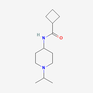 molecular formula C13H24N2O B4928401 N-(1-isopropyl-4-piperidinyl)cyclobutanecarboxamide 