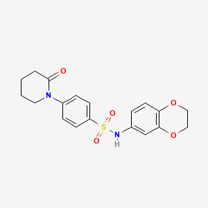 molecular formula C19H20N2O5S B4934211 N-(2,3-dihydro-1,4-benzodioxin-6-yl)-4-(2-oxo-1-piperidinyl)benzenesulfonamide 