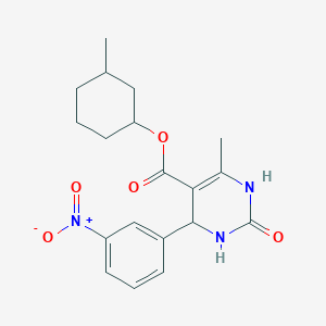 molecular formula C19H23N3O5 B4935545 3-methylcyclohexyl 6-methyl-4-(3-nitrophenyl)-2-oxo-1,2,3,4-tetrahydro-5-pyrimidinecarboxylate 