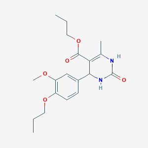 molecular formula C19H26N2O5 B4936755 propyl 4-(3-methoxy-4-propoxyphenyl)-6-methyl-2-oxo-1,2,3,4-tetrahydro-5-pyrimidinecarboxylate 