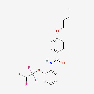 4-butoxy-N-[2-(1,1,2,2-tetrafluoroethoxy)phenyl]benzamide