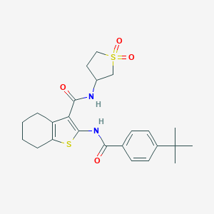 molecular formula C24H30N2O4S2 B494306 2-[(4-tert-butylbenzoyl)amino]-N-(1,1-dioxothiolan-3-yl)-4,5,6,7-tetrahydro-1-benzothiophene-3-carboxamide CAS No. 519012-48-7