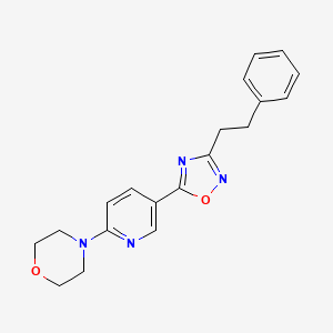 molecular formula C19H20N4O2 B4943205 4-{5-[3-(2-phenylethyl)-1,2,4-oxadiazol-5-yl]-2-pyridinyl}morpholine 