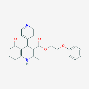 molecular formula C24H24N2O4 B4943373 2-phenoxyethyl 2-methyl-5-oxo-4-(4-pyridinyl)-1,4,5,6,7,8-hexahydro-3-quinolinecarboxylate 