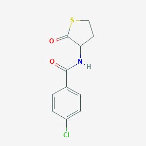 molecular formula C11H10ClNO2S B494409 4-chloro-N-(2-oxothiolan-3-yl)benzamide CAS No. 321521-90-8