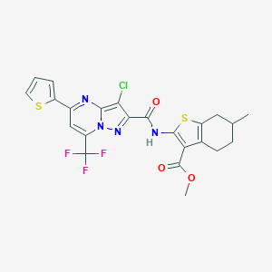 molecular formula C23H18ClF3N4O3S2 B494411 Methyl 2-({[3-chloro-5-(2-thienyl)-7-(trifluoromethyl)pyrazolo[1,5-a]pyrimidin-2-yl]carbonyl}amino)-6-methyl-4,5,6,7-tetrahydro-1-benzothiophene-3-carboxylate 