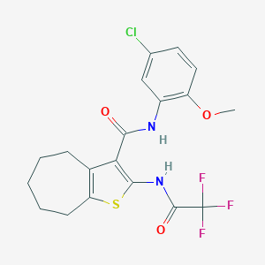 N-(5-chloro-2-methoxyphenyl)-2-[(trifluoroacetyl)amino]-5,6,7,8-tetrahydro-4H-cyclohepta[b]thiophene-3-carboxamide