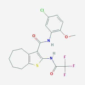 molecular formula C19H18ClF3N2O3S B494570 N-(5-chloro-2-methoxyphenyl)-2-[(trifluoroacetyl)amino]-5,6,7,8-tetrahydro-4H-cyclohepta[b]thiophene-3-carboxamide 