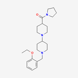 1'-(2-ethoxybenzyl)-4-(1-pyrrolidinylcarbonyl)-1,4'-bipiperidine