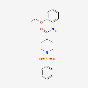 N-(2-ethoxyphenyl)-1-(phenylsulfonyl)-4-piperidinecarboxamide