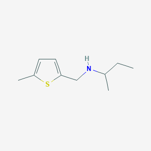 molecular formula C10H17NS B494684 N-[(5-methylthiophen-2-yl)methyl]butan-2-amine CAS No. 869942-31-4