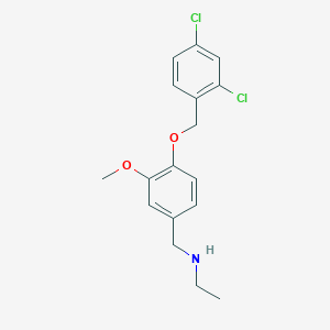 molecular formula C17H19Cl2NO2 B494689 N-{4-[(2,4-dichlorobenzyl)oxy]-3-methoxybenzyl}-N-ethylamine 