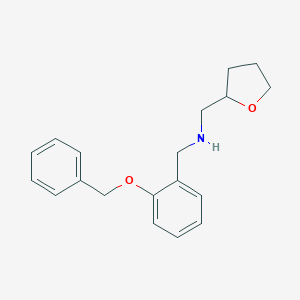 molecular formula C19H23NO2 B494701 {[2-(Benzyloxy)phenyl]methyl}[(oxolan-2-yl)methyl]amine CAS No. 761418-45-5