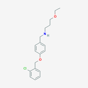 molecular formula C19H24ClNO2 B494703 N-{4-[(2-chlorobenzyl)oxy]benzyl}-N-(3-ethoxypropyl)amine 
