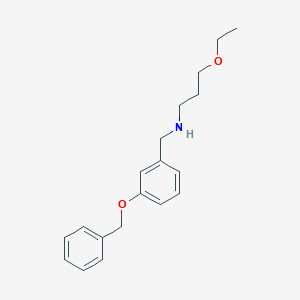 molecular formula C19H25NO2 B494704 N-[3-(benzyloxy)benzyl]-3-ethoxypropan-1-amine 