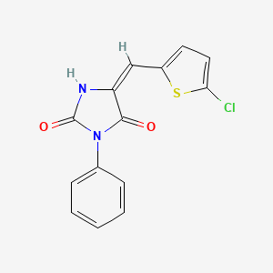 molecular formula C14H9ClN2O2S B4947160 5-[(5-chloro-2-thienyl)methylene]-3-phenyl-2,4-imidazolidinedione 