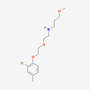 N-{2-[2-(2-bromo-4-methylphenoxy)ethoxy]ethyl}-3-methoxy-1-propanamine