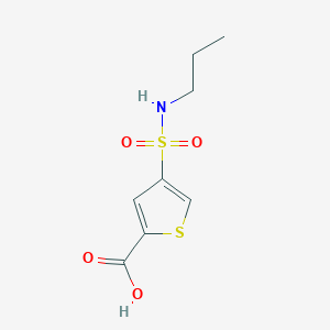4-[(propylamino)sulfonyl]-2-thiophenecarboxylic acid